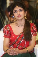 Sreeleela Half Saree Photos